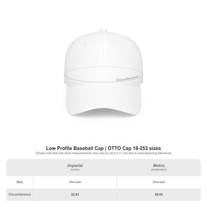 Homebody Baseball Cap