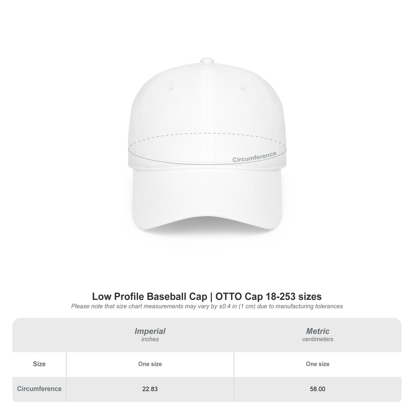 Homebody Baseball Cap
